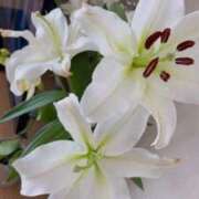 ヒメ日記 2026/02/19 12:09 投稿 みお☆プリンセス JKサークル