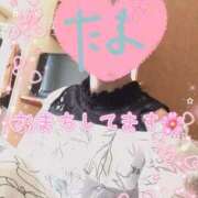 ヒメ日記 2025/06/06 15:33 投稿 たま モアグループ 土浦人妻花壇