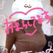 ヒメ日記 2025/06/08 18:03 投稿 たま モアグループ 土浦人妻花壇