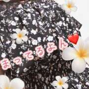 ヒメ日記 2025/08/31 23:06 投稿 たま モアグループ 土浦人妻花壇