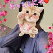 ヒメ日記 2025/11/02 13:03 投稿 たま モアグループ 土浦人妻花壇