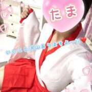 ヒメ日記 2025/12/30 21:03 投稿 たま モアグループ 土浦人妻花壇