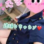 ヒメ日記 2026/08/30 14:09 投稿 たま モアグループ 土浦人妻花壇
