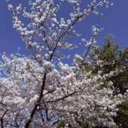 ヒメ日記 2025/04/10 09:57 投稿 よる スピード日本橋店