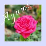 Ayumi 😔何事もありませんように THE MUSE