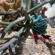 ヒメ日記 2025/06/24 10:33 投稿 らら 尼妻（あまづま）