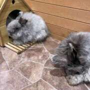 ヒメ日記 2025/06/25 11:12 投稿 らら 尼妻（あまづま）