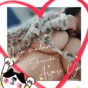 ヒメ日記 2025/03/13 06:40 投稿 綾瀬ゆう 五十路マダム静岡店（カサブランカG）