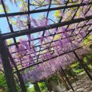 ヒメ日記 2025/04/26 18:50 投稿 綾瀬ゆう 五十路マダム静岡店（カサブランカG）