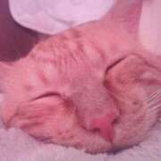 ヒメ日記 2025/11/05 02:28 投稿 綾瀬ゆう 五十路マダム静岡店（カサブランカG）