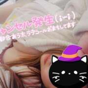 ヒメ日記 2026/01/20 14:12 投稿 綾瀬ゆう 五十路マダム静岡店（カサブランカG）