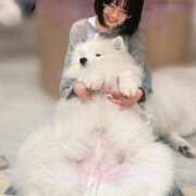 ヒメ日記 2025/04/10 01:53 投稿 早乙女ののか 響-HIBIKI-