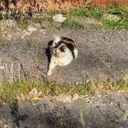 ヒメ日記 2025/01/02 14:13 投稿 なおり もしも素敵な妻が指輪をはずしたら・・・カーラ