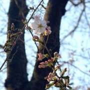 ヒメ日記 2025/03/28 20:43 投稿 なおり もしも素敵な妻が指輪をはずしたら・・・カーラ