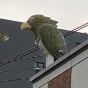 ヒメ日記 2025/04/13 18:33 投稿 なおり もしも素敵な妻が指輪をはずしたら・・・カーラ