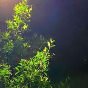 ヒメ日記 2025/05/16 01:13 投稿 なおり もしも素敵な妻が指輪をはずしたら・・・カーラ