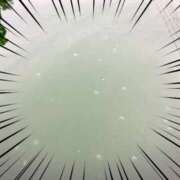 ヒメ日記 2025/05/22 18:13 投稿 いとは もしも素敵な妻が指輪をはずしたら・・・カーラ