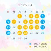 ヒメ日記 2025/04/04 12:02 投稿 横山まい 響-HIBIKI-