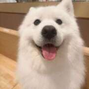 ヒメ日記 2025/07/11 23:30 投稿 横山まい 響-HIBIKI-