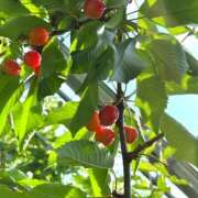 ヒメ日記 2025/07/14 00:28 投稿 まる 恋愛マット同好会