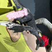 ヒメ日記 2025/07/28 01:08 投稿 まる 恋愛マット同好会