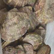 ヒメ日記 2025/09/04 19:48 投稿 まる 恋愛マット同好会