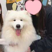 りり 超癒しの日 八尾藤井寺羽曳野ちゃんこ