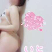 ヒメ日記 2025/08/08 20:50 投稿 衣都(いと) 人妻城 横浜本店