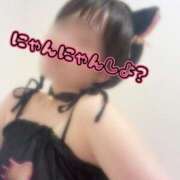 ヒメ日記 2026/02/22 10:09 投稿 衣都(いと) 人妻城 横浜本店