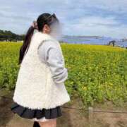 ヒメ日記 2026/04/19 18:05 投稿 ちせ バニラシュガー古河店