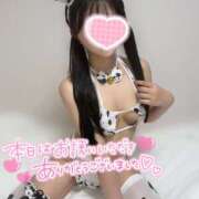 ヒメ日記 2025/05/17 02:22 投稿 さや プロフィール姫路