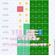 ヒメ日記 2025/03/25 15:41 投稿 こはく ホワイトハウス