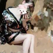 ヒメ日記 2025/03/31 22:15 投稿 こはく ホワイトハウス