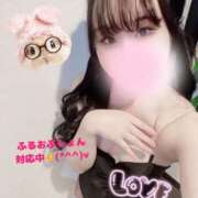 ヒメ日記 2025/05/22 12:31 投稿 こはく ホワイトハウス