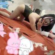 ヒメ日記 2025/05/25 05:34 投稿 こはく ホワイトハウス