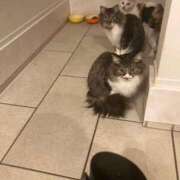 ヒメ日記 2025/01/30 21:27 投稿 りりか 小山人妻隊