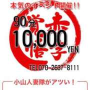 ヒメ日記 2025/02/26 13:54 投稿 りりか 小山人妻隊