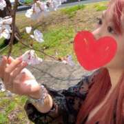 ヒメ日記 2025/03/31 18:04 投稿 りりか 小山人妻隊