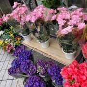 ヒメ日記 2025/05/24 20:57 投稿 りりか 小山人妻隊