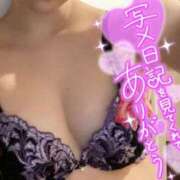 ヒメ日記 2025/04/17 21:34 投稿 ほの 多恋人倶楽部（山口）