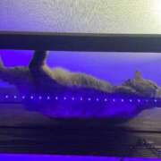 ヒメ日記 2025/05/08 18:20 投稿 朽木あいか＠ロリな潮吹かせ アナラードライ