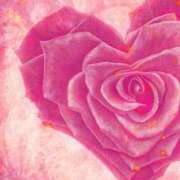 ヒメ日記 2025/04/21 15:42 投稿 あかね タレント倶楽部プレミアム