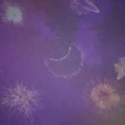 ヒメ日記 2025/08/04 12:18 投稿 りろ 白いぽっちゃりさん