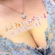 ヒメ日記 2026/04/29 18:19 投稿 雪野 熟女の風俗最終章 横浜本店