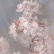 ヒメ日記 2025/04/11 10:13 投稿 いる スピード梅田店