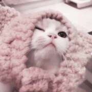 ヒメ日記 2025/04/25 10:41 投稿 いる スピード梅田店