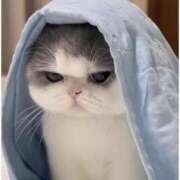 ヒメ日記 2025/08/08 08:09 投稿 いる スピード梅田店