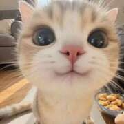 ヒメ日記 2025/08/15 08:19 投稿 いる スピード梅田店