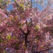 ヒメ日記 2026/03/18 18:13 投稿 高橋　マリア プルプル京都性感エステ　はんなり