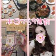 ヒメ日記 2025/03/14 06:44 投稿 香織(かおり) Chaleur (シャルール)